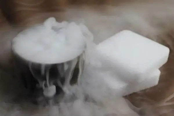 半干冰凍蝦怎么做的吃